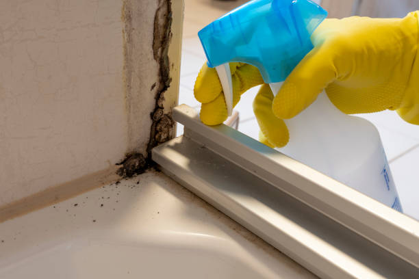 Best Mold Odor Removal Services  in Fredericktown, OH