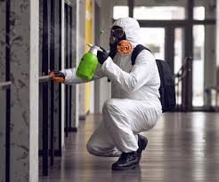 Best Environmental Consulting for Mold Prevention  in Fredericktown, OH